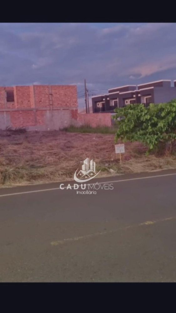 Terreno - Venda - Floresta - Cascavel - PR